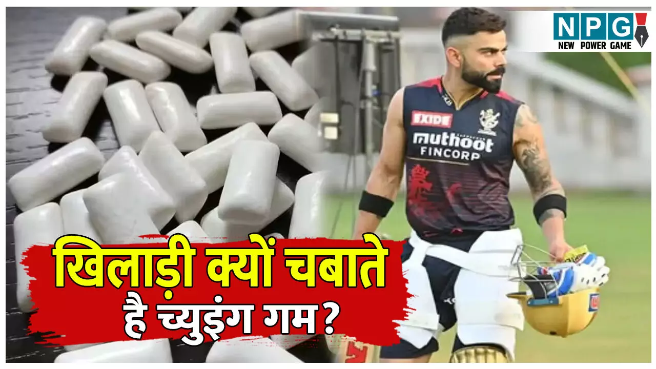 Ground me khiladi Chewing Gum kyo chabate hai: खेल के मैदान पर खिलाड़ी क्यों चबाते है च्युइंग गम? कारण जान हो जाएंगे हैरान!