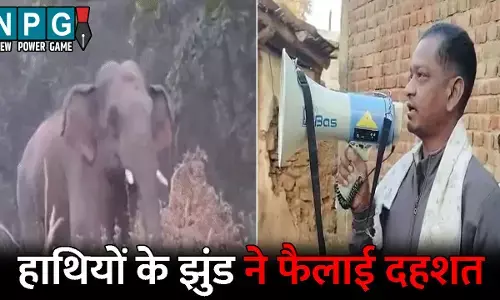 Sakti News: 13-13 हाथियों के दो झुंड ने फैलाई दहशत...फसलों को रौंदकर किया बर्बाद, अलग-अलग जिलों में चार लोगों को कुचलकर उतारा मौत के घाट, वन विभाग ने जारी की चेतावनी