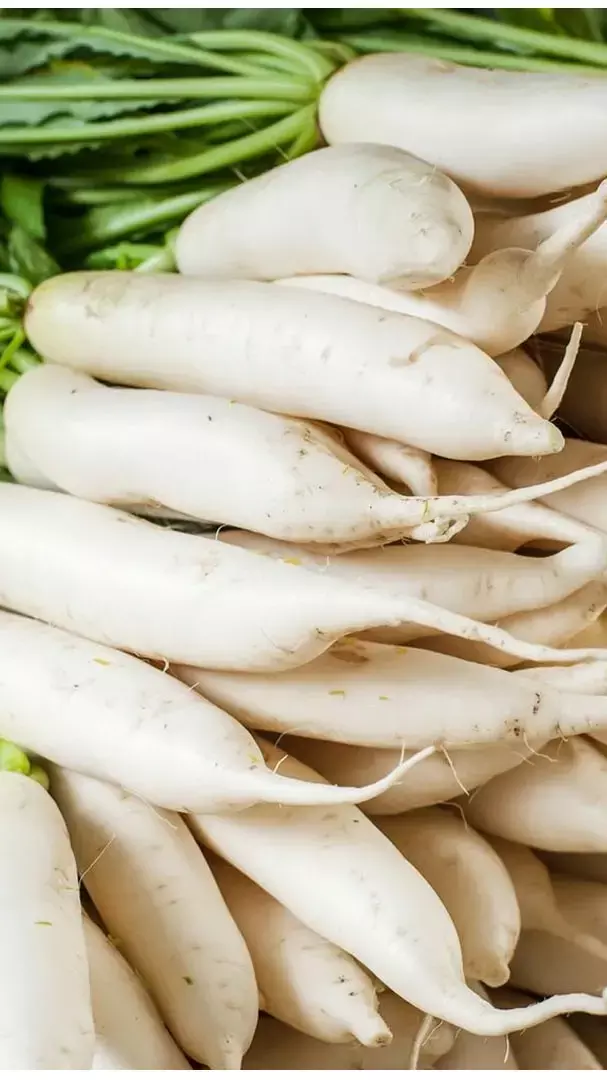 Mooli Benefits: सर्दियों में मूली खाने के क्या है फायदे, जानिए यहां
