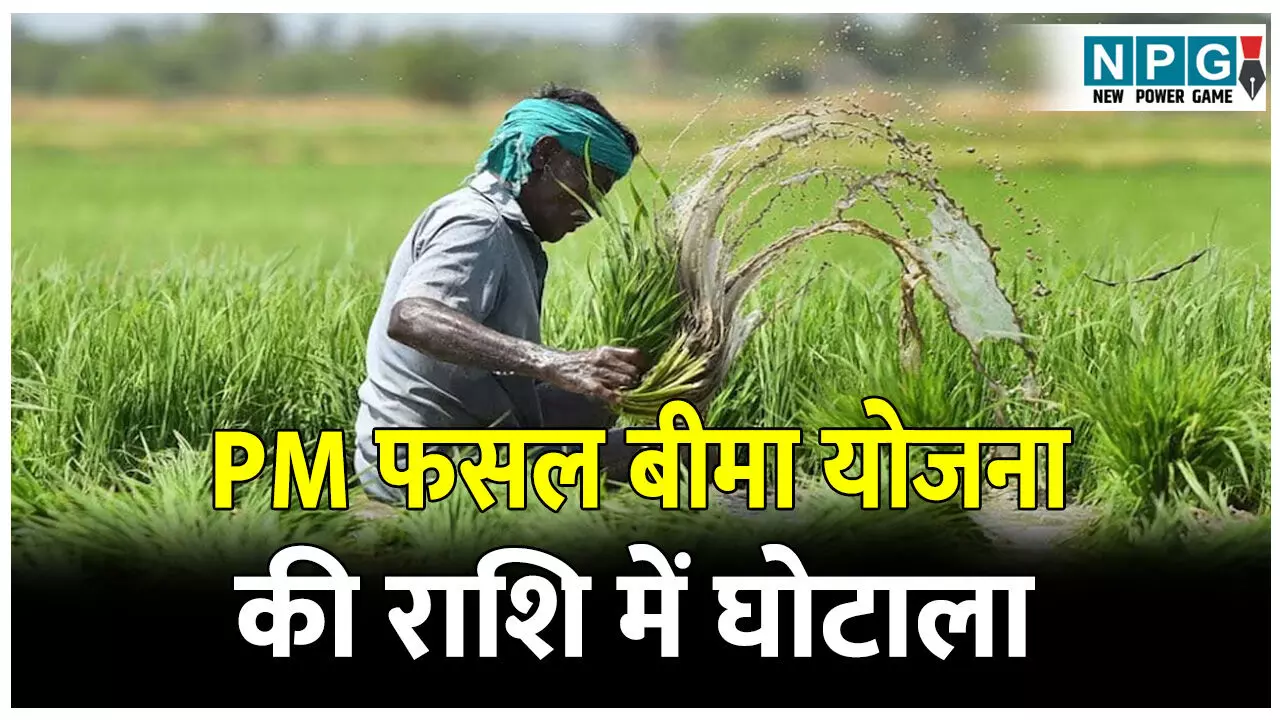 CG Jagdalpur News: नकली दस्तावेजों और किसानों के फर्जी हस्ताक्षर से कृषि अधिकारी ने किया PM फसल बीमा योजना के 22 लाख रुपए का गबन CG Jagdalpur News: नकली दस्तावेजों और किसानों के फर्जी हस्ताक्षर से कृषि अधिकारी ने किया PM फसल बीमा योजना के 22 लाख रुपए का गबन