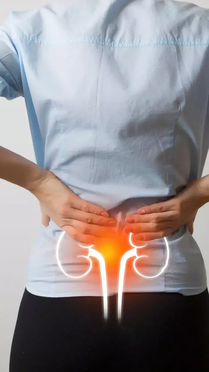 Kidney Ke Marij Ko Kya Nahi Khana Chahiye: किडनी के मरीज को क्या नहीं खाना चाहिए?