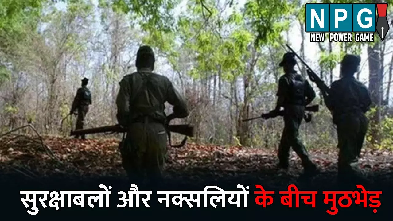 Bijapur Naxal News: सुरक्षाबलों और नक्सलियों के बीच मुठभेड़: दोनों ओर से गोलीबारी जारी, सर्च ऑपरेशन पर निकली थी टीम, तभी हुआ आमना सामना