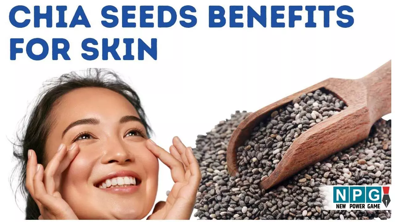 Chia Seeds For Beautiful Skin: ये छुटकू बीज थामेंगे बढ़ती उम्र, बढ़ाएंगे सुंदरता,जानिये स्किन के लिए चिया सीड्स के जबरदस्त फायदे