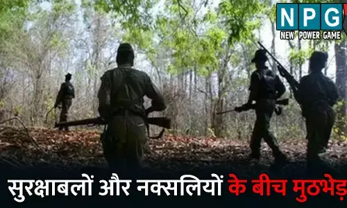 Bijapur Naxal News: बीजापुर में नक्सली मुठभेड़: दर्जन भर माओवादियों के शव बरामद,तीन जवान शहीद