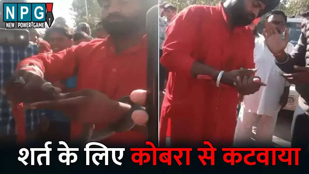 Saharan News: ओवरकॉन्फिडेंस ने ले ली जान: 10 हजार के लिए खुद को कोबरा से कटवाया, कहा- मुझे कुछ नहीं होगा, फिर हो गई मौत