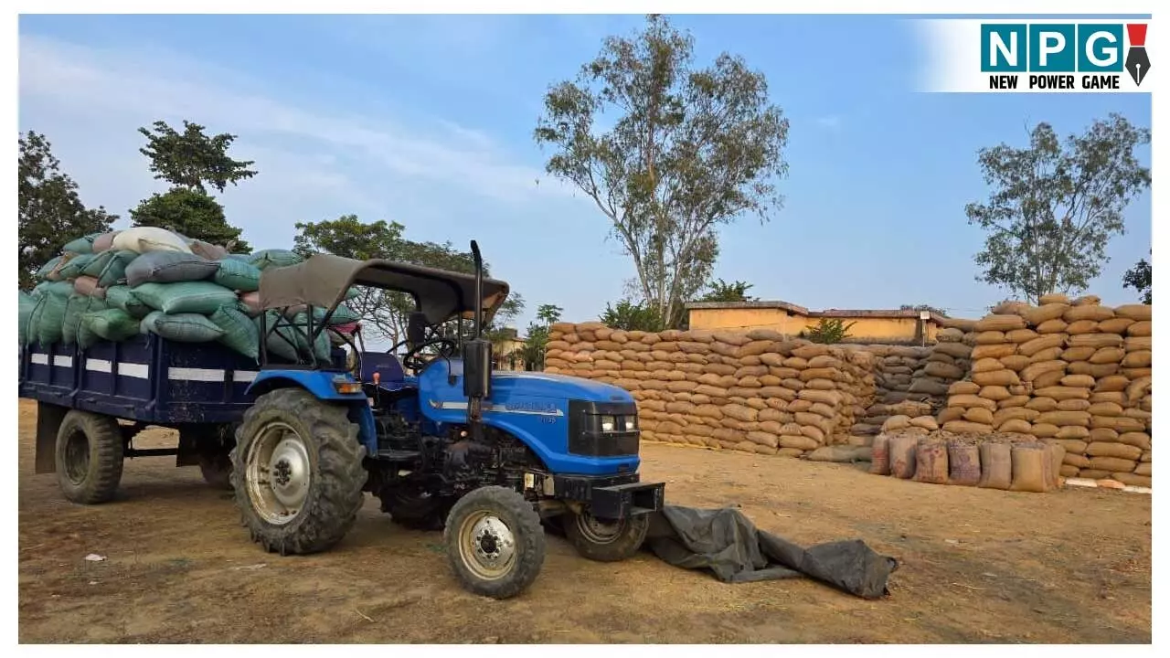 CG News: जिला प्रशासन की बड़ी कार्रवाई, अवैध धान विक्रय के गिरोह का हुआ पर्दाफाश, तीन लाख का धान बेचने की फ़िराक में थे