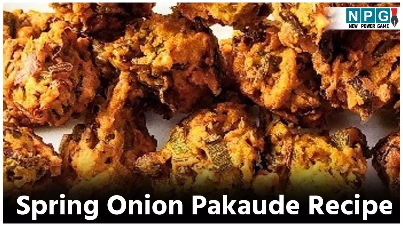 Spring Onion Pakaude Recipe: सर्द शाम में हरी प्याज के कुरकुरे पकौड़ों का लुत्फ उठाइये, पढ़िये रेसिपी