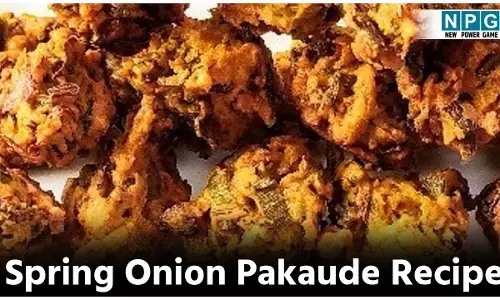 Spring Onion Pakaude Recipe: सर्द शाम में हरी प्याज के कुरकुरे पकौड़ों का लुत्फ उठाइये, पढ़िये रेसिपी