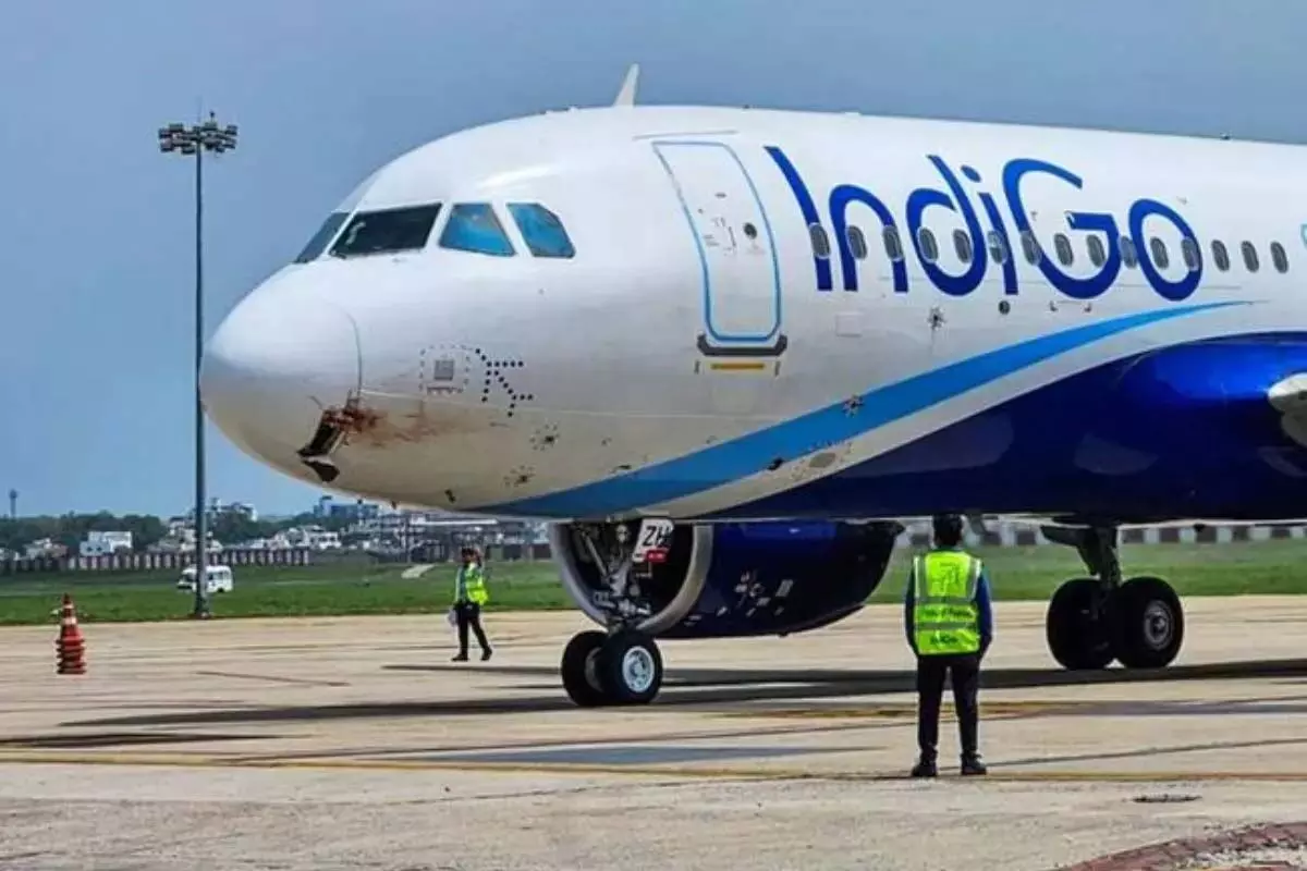 Indigo Flight Status Updates : यात्रियों को फिर तगड़ा झटका, दिल्ली से आज की सभी घरेलू उड़ानें रद्द....