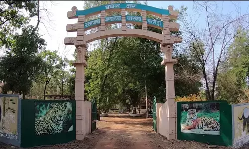 Ratapani Tiger Reserve : रातापानी टाइगर रिजर्व में गुंडाराज : शराब पार्टी रोकने पर वनकर्मियों पर जानलेवा हमला, एक घंटे तक बनाया बंधक