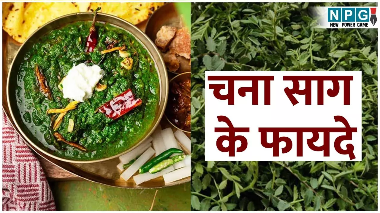 Chana Sag Ke Fayde: सर्दियों में बहुत फायदेमंद है चने का साग, कब्ज़ दूर करें, इम्यूनिटी बढ़ाए और चेहरे को भी दे रौनक, पढ़िए चना साग के फायदे... Chana Sag Ke Fayde: सर्दियों में बहुत फायदेमंद है चने का साग, कब्ज़ दूर करें, इम्यूनिटी बढ़ाए और चेहरे को भी दे रौनक, पढ़िए चना साग के फायदे...