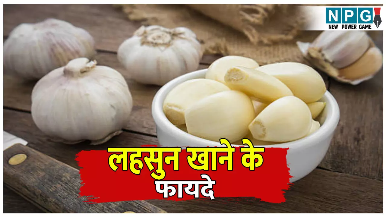 Raat ko Sone se pahle lahsun khane ke fayde: सोने से पहले एक कली लहसुन चबाने के अद्भुत फायदे! वजन घटाने से लेकर यौन इच्छा बढ़ाने तक... Raat ko Sone se pahle lahsun khane ke fayde: सोने से पहले एक कली लहसुन चबाने के अद्भुत फायदे! वजन घटाने से लेकर यौन इच्छा बढ़ाने तक...
