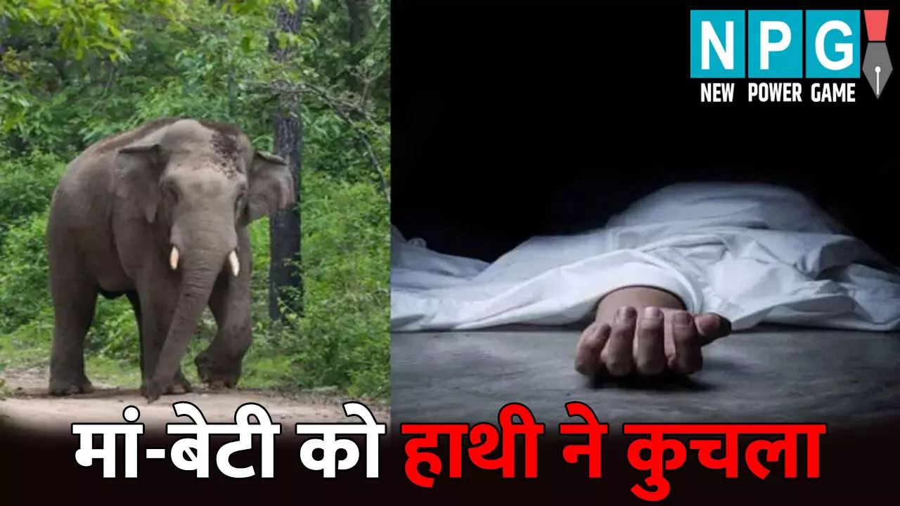 Korba News: आग ताप रही थी मां-बेटी...तभी आ गया गजराज, कुचलकर उतारा मौत के घाट Korba News: आग ताप रही थी मां-बेटी...तभी आ गया गजराज, कुचलकर उतारा मौत के घाट