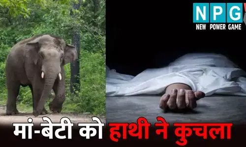 Korba News: आग ताप रही थी मां-बेटी...तभी आ गया गजराज, कुचलकर उतारा मौत के घाट