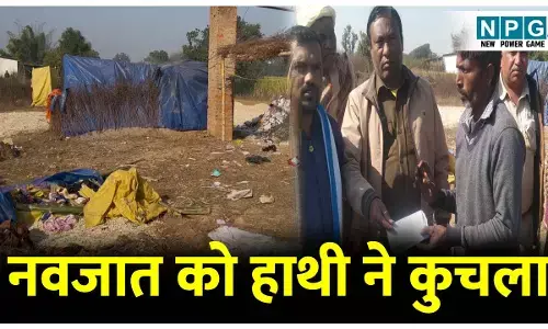 CG News: दिल दहलाने वाली घटना: नवजात को हाथी ने रौंदा: झोपड़ी को किया तहस नहस