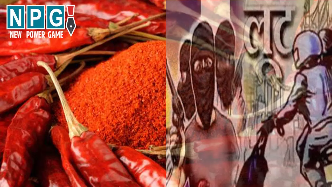 Bilaspur Crime News: पेट्रोल पंप के मैनेजर पर मिर्ची पाउडर फेंक 15 लाख रुपए के लूट की कोशिश, बहादुरी दिखाकर लूटने से बचाई मालिक की रकम Bilaspur Crime News: पेट्रोल पंप के मैनेजर पर मिर्ची पाउडर फेंक 15 लाख रुपए के लूट की कोशिश, बहादुरी दिखाकर लूटने से बचाई मालिक की रकम