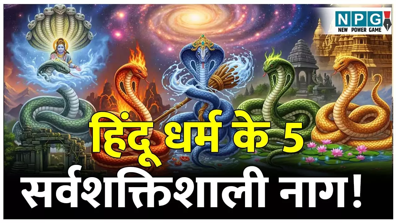 Hindu dharm ke Top 5 powerful Nag: हिंदू धर्म के 5 सर्वशक्तिशाली नाग! इनमें से एक की पूजा करने पर मिलेगी सर्पदोष से मुक्ति... Hindu dharm ke Top 5 powerful Nag: हिंदू धर्म के 5 सर्वशक्तिशाली नाग! इनमें से एक की पूजा करने पर मिलेगी सर्पदोष से मुक्ति...