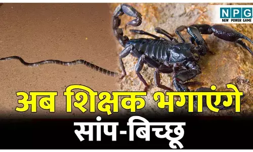 CG School News: आवारा कुत्तों के बाद अब सरकारी और निजी स्कूलों के शिक्षक भगाएंगे सांप, बिच्छू और जहरीले जीव जंतु