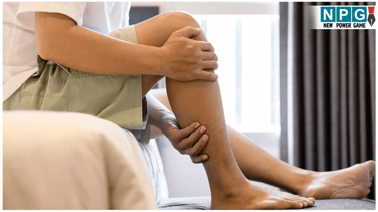 Best Foods For Stronger Legs: पैर होने लगे हैं बेजान और बैलेंस बिगड़ने का लगता है डर तो डाइट में जरूर शामिल करें ये फूड आइटम्स... Best Foods For Stronger Legs: पैर होने लगे हैं बेजान और बैलेंस बिगड़ने का लगता है डर तो डाइट में जरूर शामिल करें ये फूड आइटम्स...