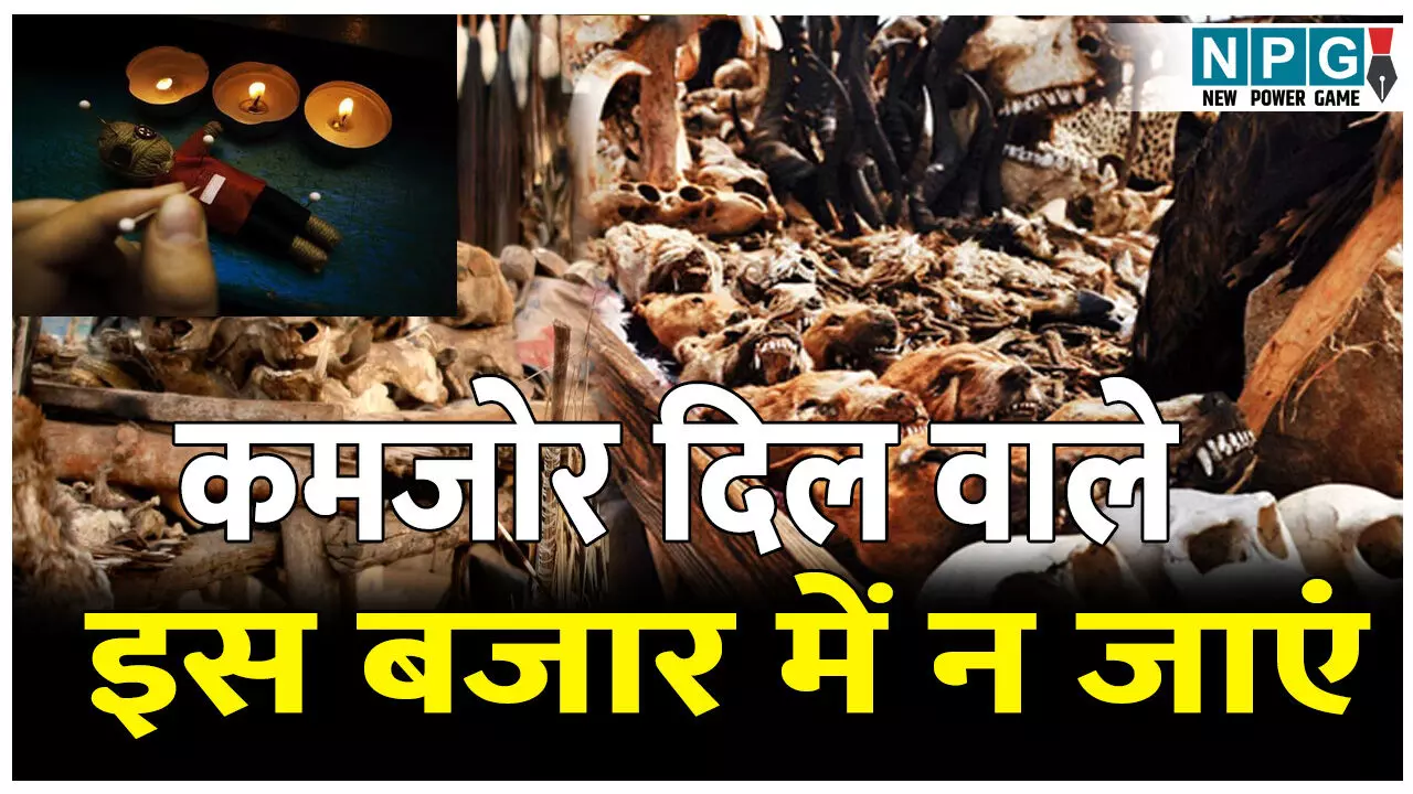 Duniya Ka Sabse Bada Jadui Voodoo Market: इंसानों की खोपड़ियों से लेकर सांपों की हड्डियों तक इस जादुई बाजार में मिलता है सब कुछ, कमजोर दिल वालों की कांप जाएगी रूह Duniya Ka Sabse Bada Jadui Voodoo Market: इंसानों की खोपड़ियों से लेकर सांपों की हड्डियों तक इस जादुई बाजार में मिलता है सब कुछ, कमजोर दिल वालों की कांप जाएगी रूह