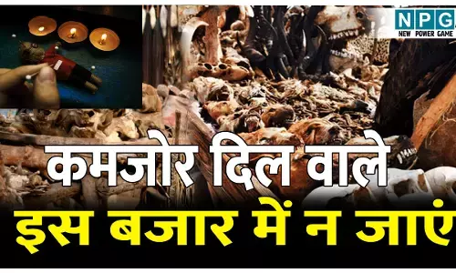 Duniya Ka Sabse Bada Jadui Voodoo Market: इंसानों की खोपड़ियों से लेकर सांपों की हड्डियों तक इस जादुई बाजार में मिलता है सब कुछ, कमजोर दिल वालों की कांप जाएगी रूह