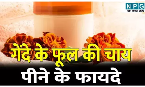 gende ke phool ki chai pine ke fayde: पूजा में चढ़ाने वाले गेंदे के फूल से बनाएं चाय; शरीर को मिलेंगे चौंकाने वाले फायदे..