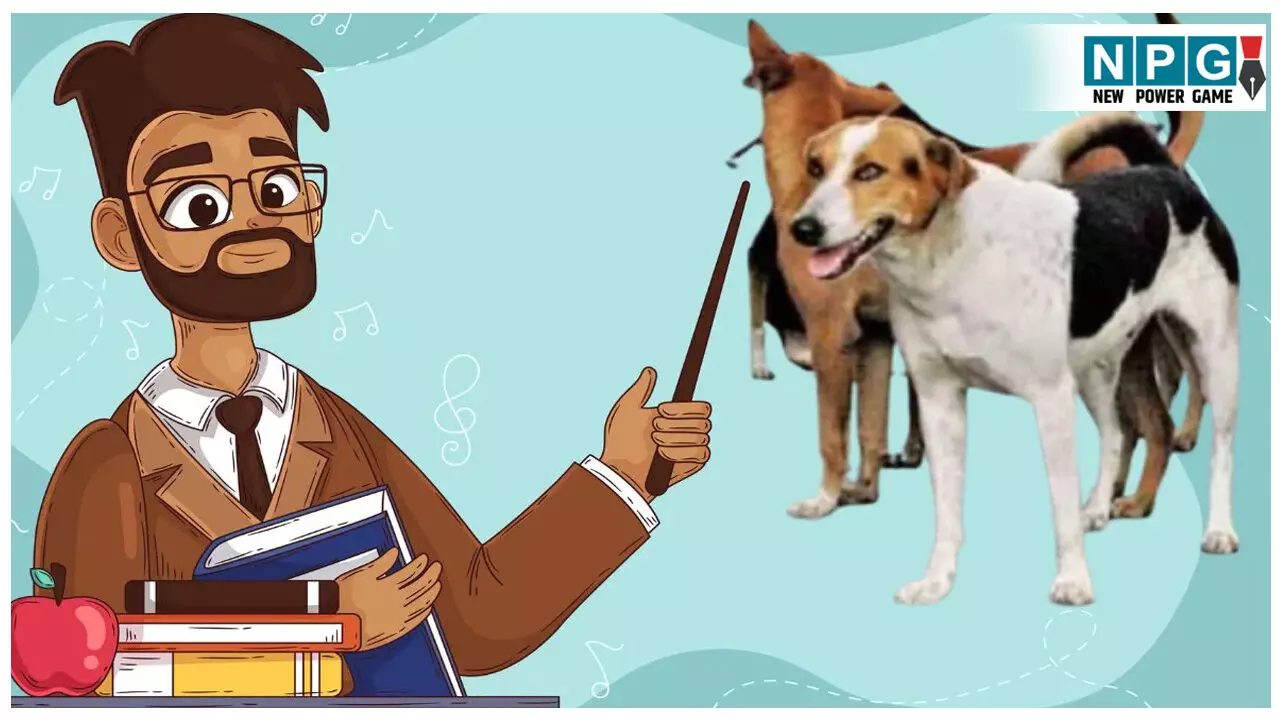 CG Education News: शिक्षक के बाद अब कॉलेज व यूनिवर्सिटी के प्रोफेसरों की लगी कुत्तों की निगरानी की ड्यूटी: उच्च शिक्षा विभाग ने जारी किया आदेश CG Education News: शिक्षक के बाद अब कॉलेज व यूनिवर्सिटी के प्रोफेसरों की लगी कुत्तों की निगरानी की ड्यूटी: उच्च शिक्षा विभाग ने जारी किया आदेश