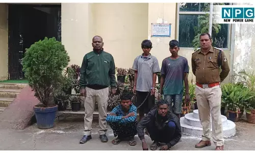 Raigarh Crime News: जंगली सूअर को मारने बिछाए गए करंट की चपेट में आकर दो लोगों की हुई मौत, नाबालिग समेत पांच आरोपी गिरफ्तार