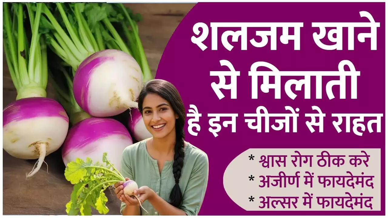 Health Benefits Of Turnip: शलजम का सलाद, सूप, सब्जी, अचार सभी कुछ है बेहद फायदेमंद, जाने शलजम खाने से किन बीमारियों से मिलेगी राहत Health Benefits Of Turnip: शलजम का सलाद, सूप, सब्जी, अचार सभी कुछ है बेहद फायदेमंद, जाने शलजम खाने से किन बीमारियों से मिलेगी राहत
