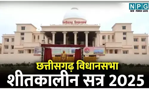Chhattisgarh Vidhan Sabha Winter Session: ऑनलाइन ठगी और डिजीटल अरेस्ट के 3150 मामलों में 306 करोड़ की ठगी, 4 जिलों में सायबर क्राइम DSP के पद स्वीकृत