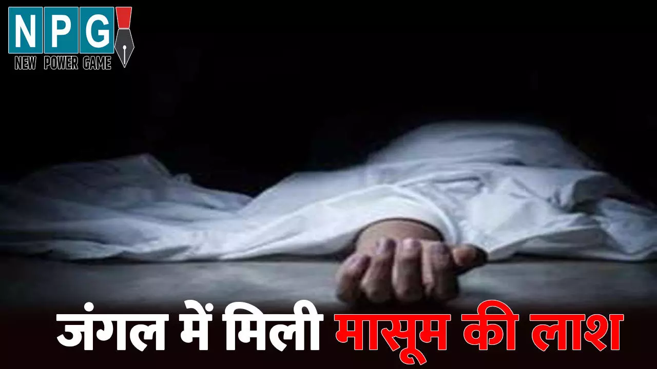 Dhamtari News: घर के बाहर खेलते-खेलते अचानक गायब हुआ 2 साल का मासूम: दो दिन बाद जंगल के अंदर इस हालत में मिली लाश, परिजनों के पैरों तले से खिसक गई जमीन Dhamtari News: घर के बाहर खेलते-खेलते अचानक गायब हुआ 2 साल का मासूम: दो दिन बाद जंगल के अंदर इस हालत में मिली लाश, परिजनों के पैरों तले से खिसक गई जमीन