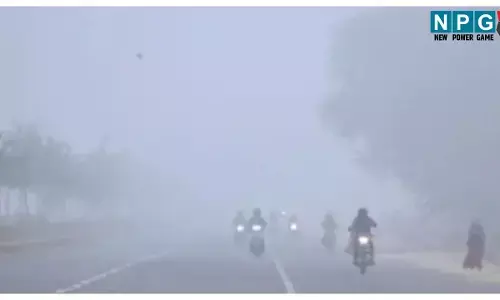 CG Weather News: घने कोहरे से विजिबिलिटी हुई कम, सड़क सुरक्षा को लेकर परिवहन आयुक्त ने जारी की  एडवाइजरी