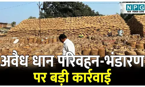 CG News: कलेक्टर के निर्देश पर अवैध धान परिवहन-भंडारण पर बड़ी कार्रवाई, अब तक 67 प्रकरण दर्ज, कुल 3458.56 क्विंटल धान जब्त