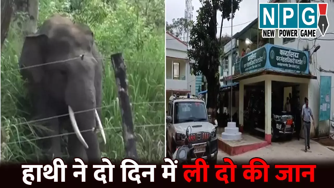 Korba Elephent Attack: हाथी ने दो दिन में ली दो की जान...महिला को कुचलकर उतारा मौत के घाट, पति ने भागकर बचाई अपनी जान Korba Elephent Attack: हाथी ने दो दिन में ली दो की जान...महिला को कुचलकर उतारा मौत के घाट, पति ने भागकर बचाई अपनी जान