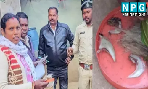 Surajapur News: महिला सरपंच गिरफ्तार: बाघ का शिकार मामले में कार्रवाई, शेर के नाखून और बाल बरामद