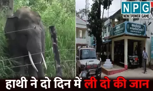 Korba Elephent Attack: हाथी ने दो दिन में ली दो की जान...महिला को कुचलकर उतारा मौत के घाट, पति ने भागकर बचाई अपनी जान