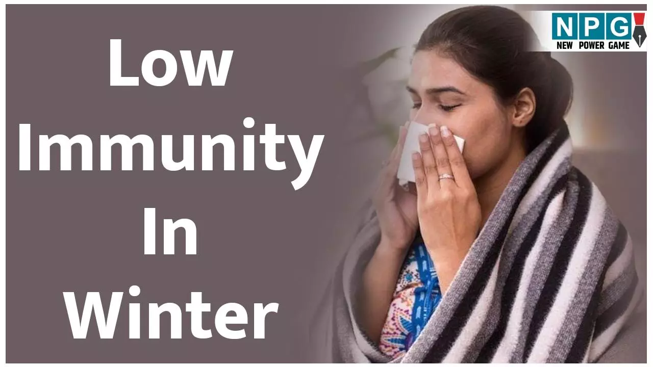Low Immunity In Winter:...तो इन वजहों से होता है सर्दियों में बार-बार सर्दी-जुकाम! जाने सर्दियों में इम्यूनिटी कमजोर होने के कारण... Low Immunity In Winter:...तो इन वजहों से होता है सर्दियों में बार-बार सर्दी-जुकाम! जाने सर्दियों में इम्यूनिटी कमजोर होने के कारण...