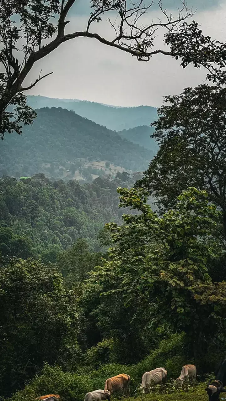 Chhattisgarh Top Tourist place For Winter: सर्दियों में घूमने के लिए बेस्ट है छत्तीसगढ़ की यह खूबसूरत जगहें