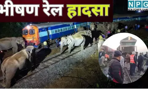 Assam Train Accident : भीषण रेल हादसा : हाथियों के झुंड से टकराई राजधानी एक्सप्रेस, 8 हाथियों की मौत, 5 डिब्बे पटरी से उतरे