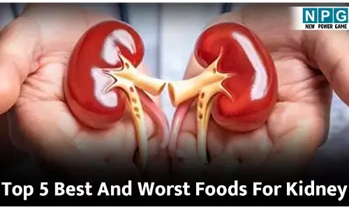 Top 5 Best And Worst Foods For Kidney: किडनी के लिए सबसे अच्छी और सबसे बुरी पांच चीजें कौन सी हैं, आइए जाने