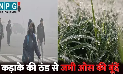 CG Mausam: पेंड्रा, अम्बिकापुर, जशपुर में कड़ाके की ठंड, जमी ओस की बूंदें, विजिबिलिटी भी हुई कम, रात में सड़कें सुनी