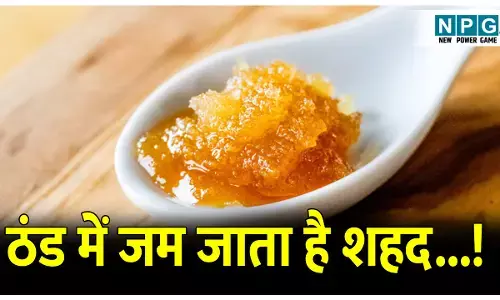 Thand me Jame hue shahad ko thik karne ke upay: क्या आपके घर में रखे शहद ठंड की वजह से जमने लगे है? तो जान लें प्रभावी तरीके..