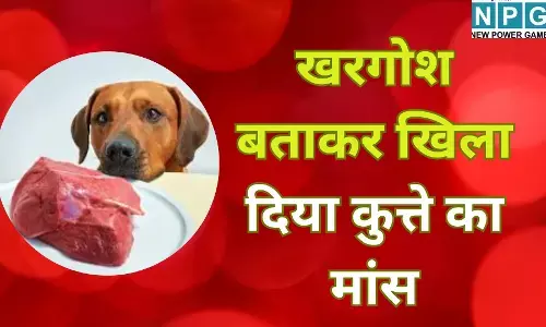 Bihar Meat Fraud : नशेड़ी ने खरगोश बताकर खिला दिया कुत्ते का मांस, 500 रुपये के चक्कर में दांव पर लगा दी गांव वालों की ज़िन्दगी, पढ़े पूरी खबर