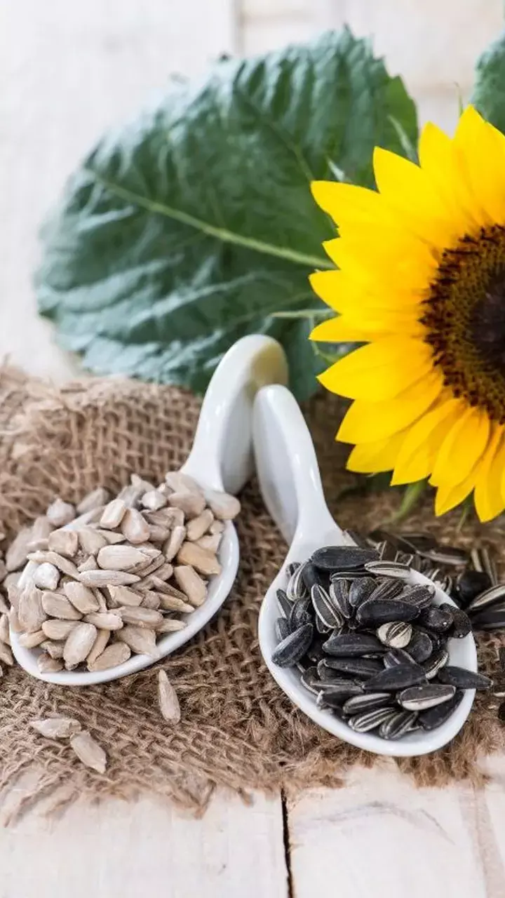 Surajmukhi Beej Khane Ke Fayde: रोजाना सूरजमुखी का बीज खाने से क्या फायदा होता है?