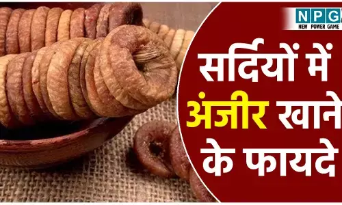 Sardiyon Me Anjeer Khane Ke Fayde: सर्दियों में अंजीर खाने के ये हैं कमाल के फायदे