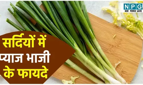 Health Benefits Of Spring Onion: सर्दियों में जरूर खाइये हरी प्याज, इम्यूनिटी होगी बूस्ट, हार्ट रहेगा दुरस्त, जाने कितनी मात्रा में खाएं
