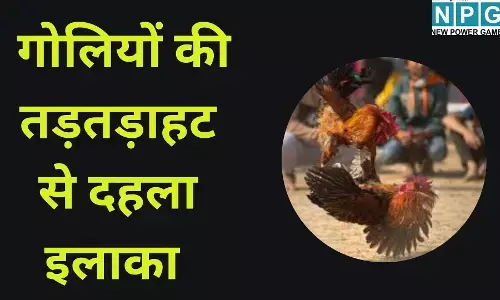Jharkhand Crime News : गोलियों की तड़तड़ाहट से दहला इलाका : मुर्गा लड़ाई देख रहे हिस्ट्रीशीटर पर अंधाधुंध फायरिंग, बदमाशों ने सरेआम उतारा मौत के घाट