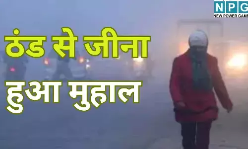 MP Weather Update : बर्फीली हवाओं के घेरे में प्रदेश, पचमढ़ी में रिकॉर्ड तोड़ सर्दी; यातायात और जनजीवन ठप