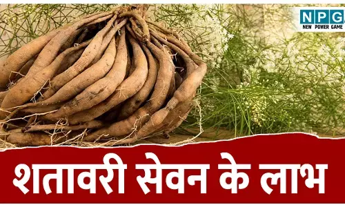 Shatavari ka sevan karne ke labh: शतावरी के सेवन के लाभ, महिलाओ में ब्रेस्ट मिल्क बढ़ाने में करता है मदद, जानिए इसके अनगिनत फायदे!