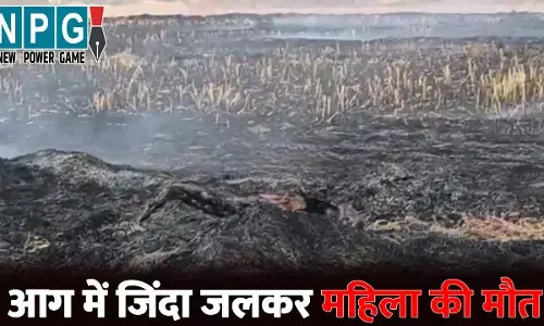 Baloda Bazar News: आग में जिंदा जली महिला.. पराली जलाने के दौरान भड़की आग, चपेट में आकर गई जान